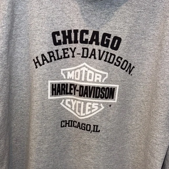 Harley-Davidson Gray Hoodie with Logo - Picture 5 of 6